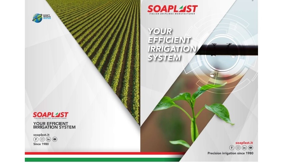 soaplast empresa historia